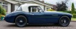 Austin Healey 100/6 (1)