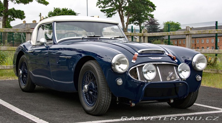 Austin Healey 100/6 (1) 1957