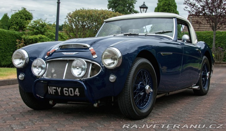 Austin Healey 100/6 (1) 1957