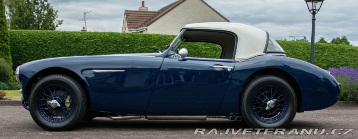 Austin Healey 100/6 (1) 1957