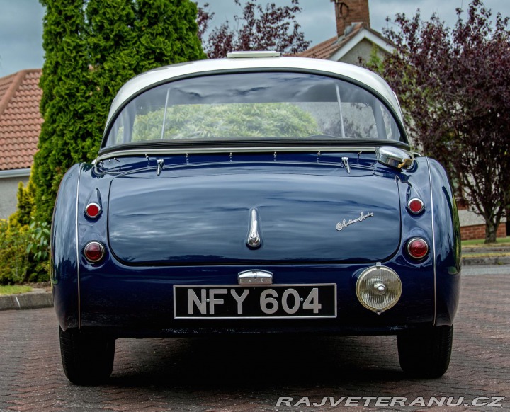 Austin Healey 100/6 (1) 1957