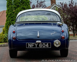 Austin Healey 100/6 (1) 1957