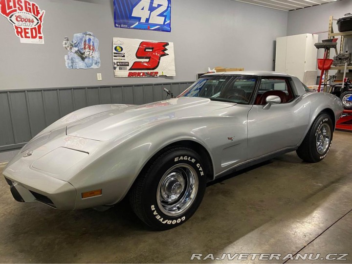 Chevrolet Corvette 25th Silver Edition 1978