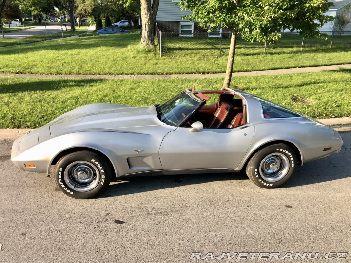 Chevrolet Corvette 25th Silver Edition 1978