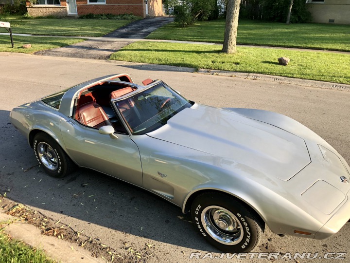 Chevrolet Corvette 25th Silver Edition 1978