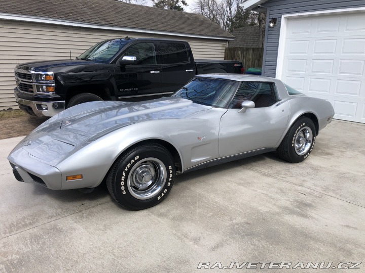 Chevrolet Corvette 25th Silver Edition 1978