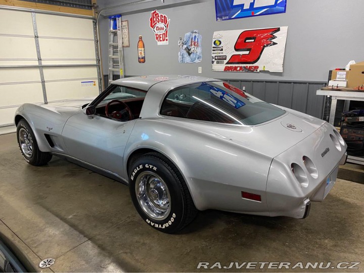 Chevrolet Corvette 25th Silver Edition 1978