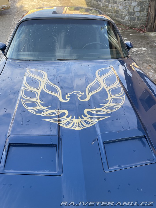 Pontiac Firebird Formula 1979