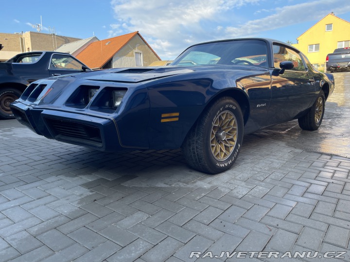 Pontiac Firebird Formula 1979