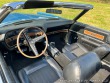 Ford Galaxie
