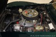 Chevrolet Corvette LT 1 / V ČR