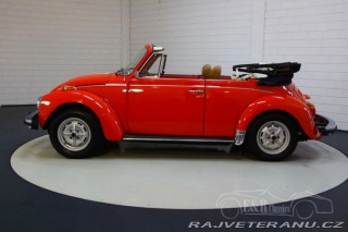 Volkswagen Brouk Convertible 1979