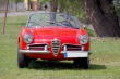 Alfa Romeo Giulietta  1961