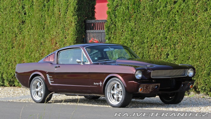 Ford Mustang fastback V8 automatic 1966