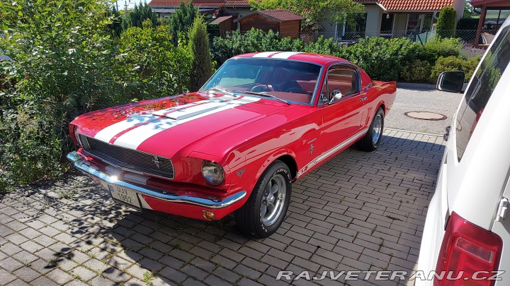 Ford Mustang Fastback 1965