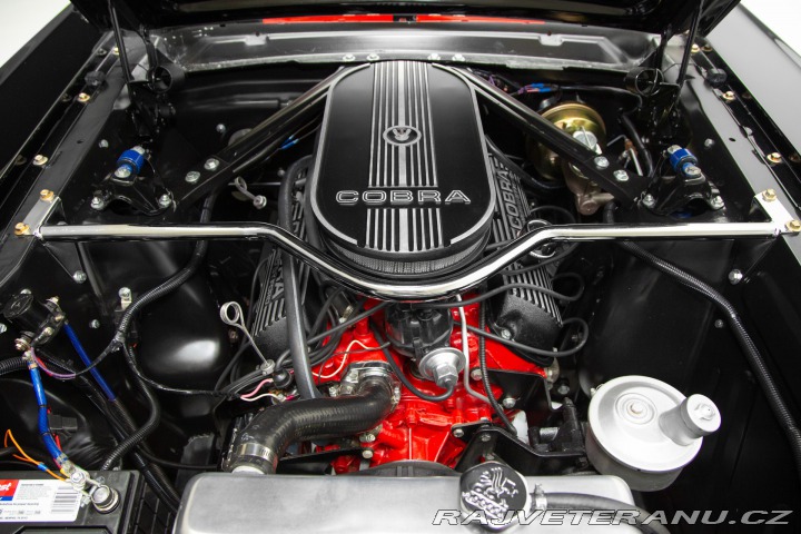 Ford Mustang Fastback, V8, V ČR 1965