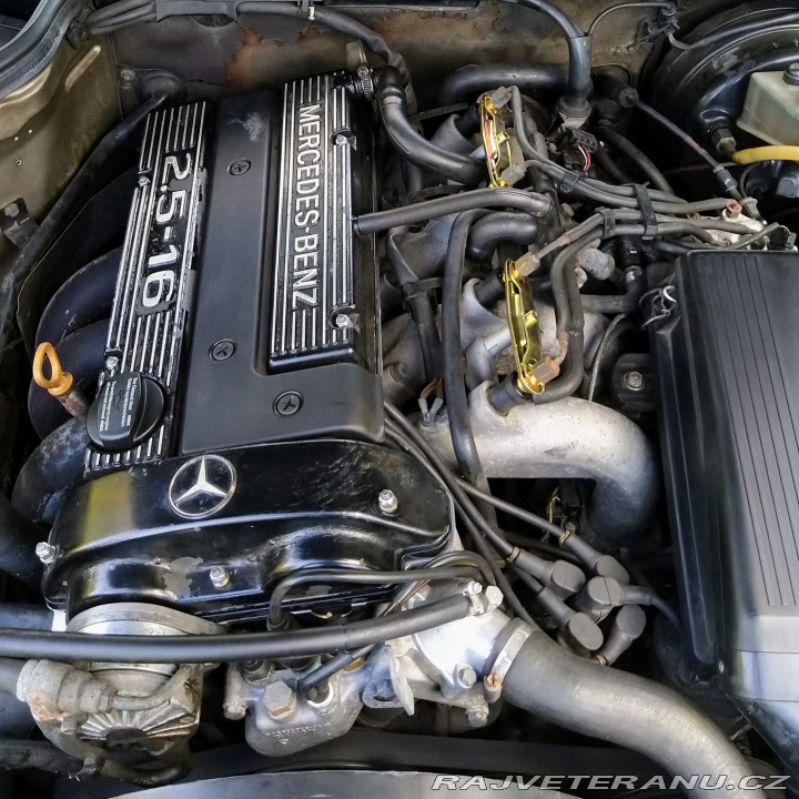 Mercedes-Benz 190 2.5-16v 1989