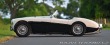 Austin Healey 100 BN2 Lemans 1956