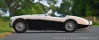 Austin Healey 100 BN2 Lemans