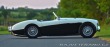 Austin Healey 100 BN2 Lemans 1956