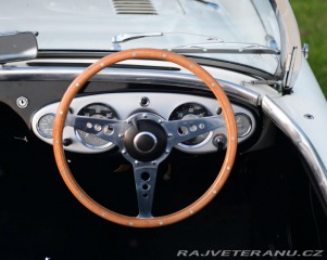Austin Healey 100 BN2 Lemans 1956