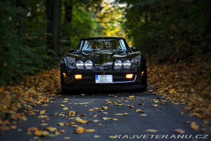 Chevrolet Corvette C3 1980