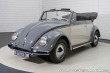 Volkswagen Brouk 1500