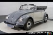 Volkswagen Brouk 1500 1959