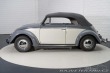 Volkswagen Brouk 1500 1959