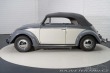 Volkswagen Brouk 1500
