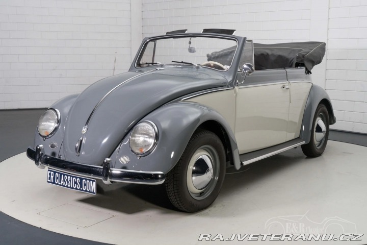 Volkswagen Brouk 1500 1959