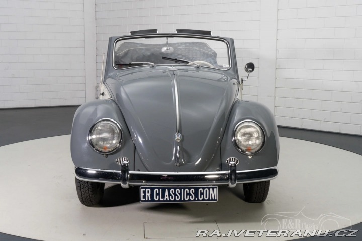 Volkswagen Brouk 1500 1959