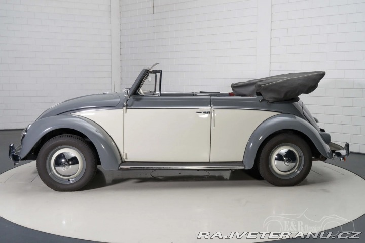 Volkswagen Brouk 1500 1959