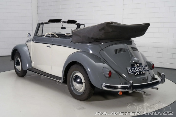 Volkswagen Brouk 1500 1959