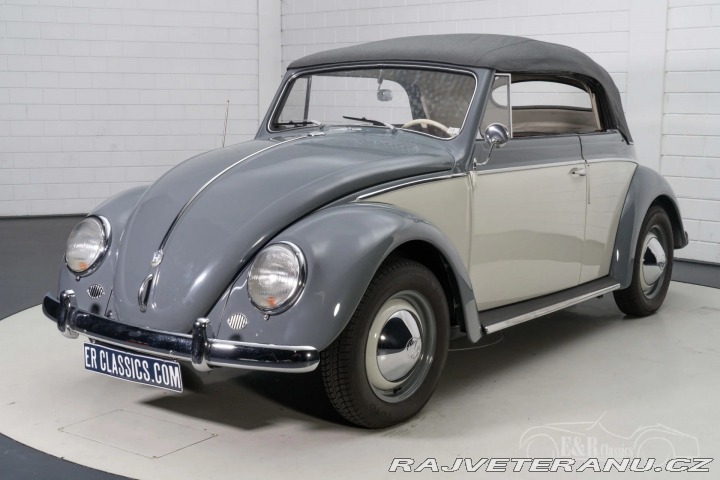 Volkswagen Brouk 1500 1959