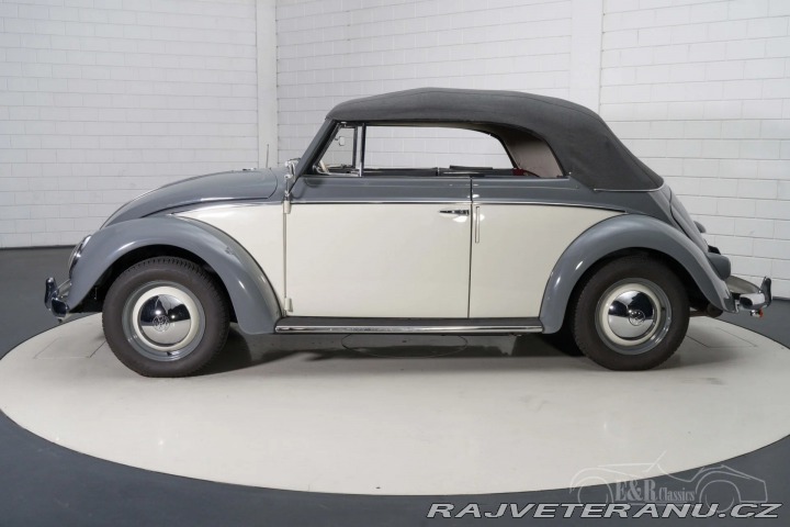 Volkswagen Brouk 1500 1959