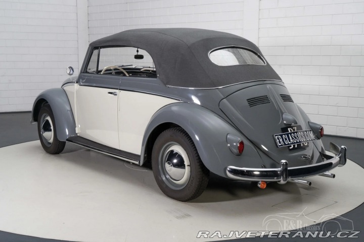 Volkswagen Brouk 1500 1959