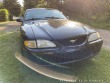 Ford Mustang GT - 5.0 V8