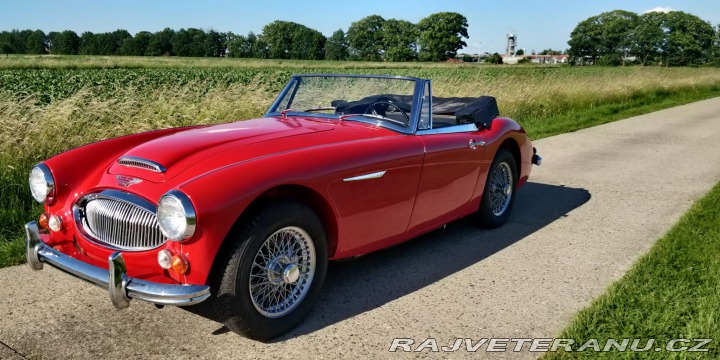 Austin Healey 3000 MK3 BJ8