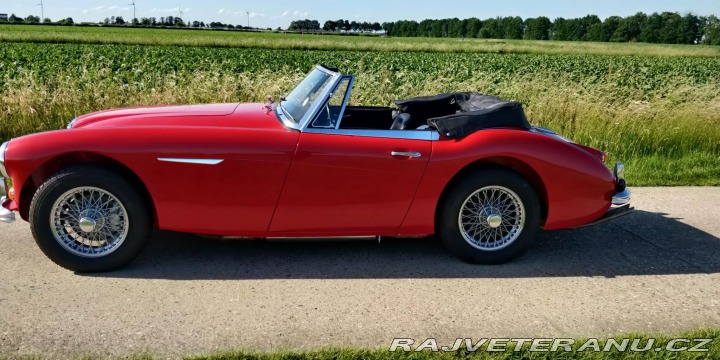 Austin Healey 3000 MK3 BJ8 1967