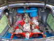 Tatra 603