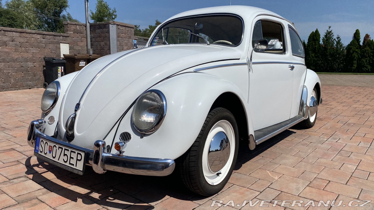 Volkswagen Brouk 1955 volkswagen-brouk-1955