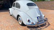 Volkswagen Brouk
