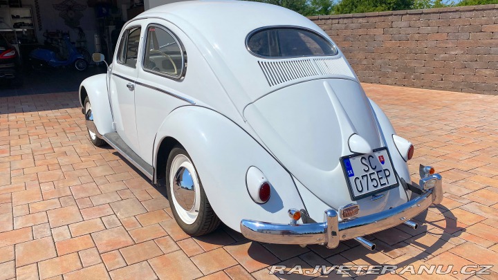 Volkswagen Brouk  1955