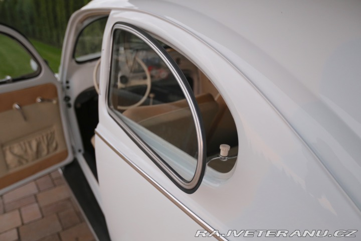 Volkswagen Brouk  1955
