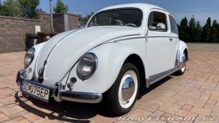 Volkswagen Brouk 1955