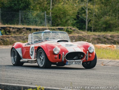 Cobra Ostatní modely KCC - 540 PS