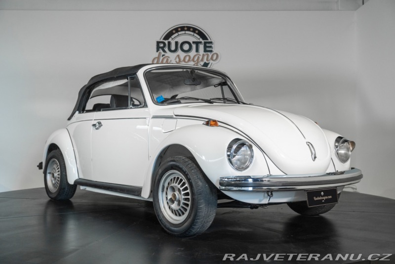 Volkswagen Brouk 