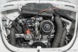 Volkswagen Brouk 