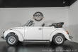 Volkswagen Brouk 